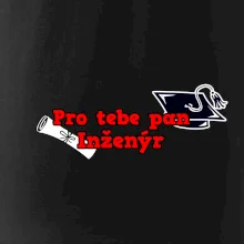 Pro tebe pan Inženýr