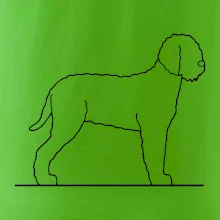 Lagotto romagnolo stojící