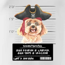 Lump a darebák pudl