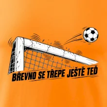 Břevno se třepe ještě teď