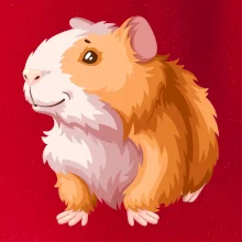 Morče - kreslené, bílo oranžové