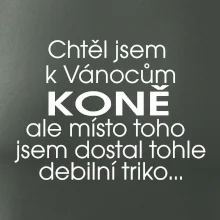 Chtěl jsem dostat k Vánocům koně