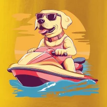 Zlatý retrívr na vodním skútru