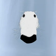 Barzoj čumák (Moňas)