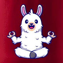 Yoga meditace - lama