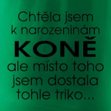 Chtěla jsem dostat k narozeninám koně