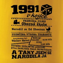 1991 v kostce