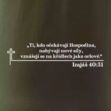 Citáty z bible - Izajáš 40:31