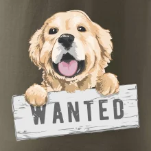 Zlatý retriever - štěně wanted