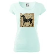 Egyptské hieroglyfy kůň