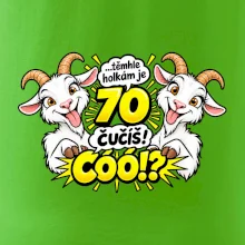 Těmhle holkám je 70, čučíš co?