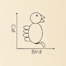 Cat bird diagram