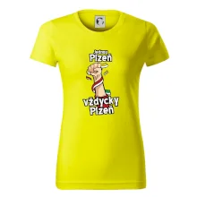 Jednou Plzeň vždycky Plzeň