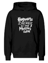 Harry - Hogwarts wasn’t hiring, so I teach Muggles instead