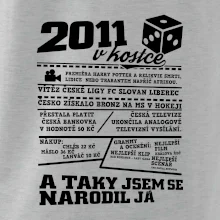 2011 v kostce