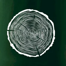 Letokruhy 60 bez věku