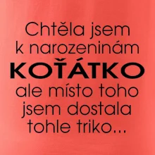 Chtěla jsem dostat k narozeninám koťátko