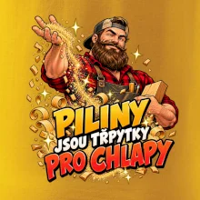 Piliny jsou třpytky pro chlapy - vousatý truhlář