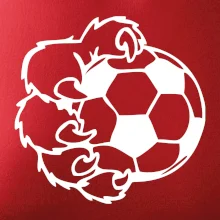 Medvědí tlapa fotbal