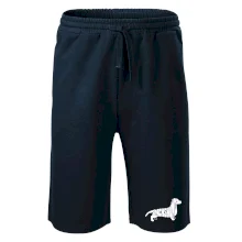 Jezevčík - Dachshund