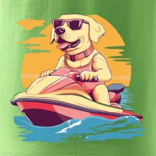 Zlatý retrívr na vodním skútru