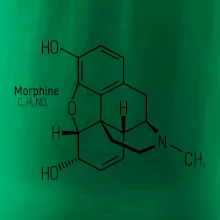 Molekulární struktura Morfin