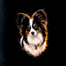 Obrázek polotón papillon hlava