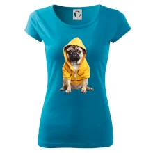 Mops v mikině