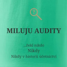 Miluju audity řekl nikdo nikdy