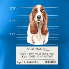 Baset - lump a darebák