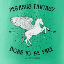 Pegasus fantasy