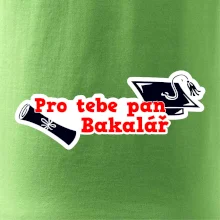 Pro tebe pan Bakalář