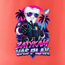 Zatýkám váš plak
