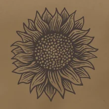 Slunečnice kreslená černobílá