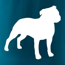 Americký stafordširský teriér  Na prsu