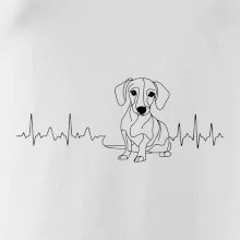 EKG křivka jezevčík