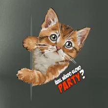 Řekl někdo slovo party