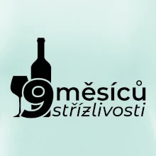 9 měsíců střízlivosti