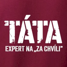 Táta - expert na za chvíli