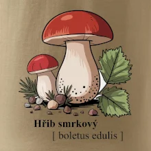Hřib smrkový - Boletus edulis kreslený