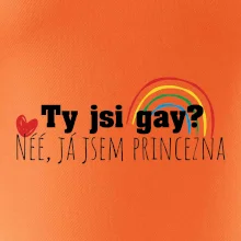 Gay princezna