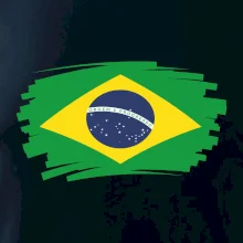 Brazílie vlajka štětkou