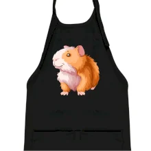 Morče - kreslené, bílo oranžové