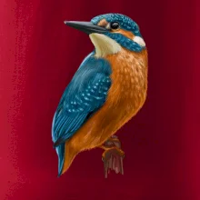 Lednáček kreslený