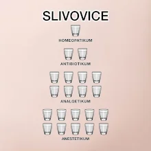 Slivovice počítání (Hana-creative)