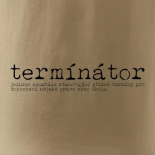 Čeština 2.0 - termínátor