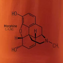 Molekulární struktura Morfin
