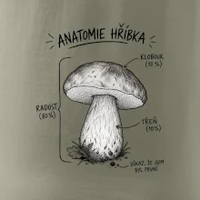 Anatomie hříbka