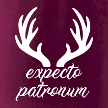 Harry - Expecto patronum Harry - Expecto patronum