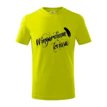 Harry - Wingardium Leviosa